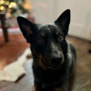 Meet your Posher, Grace